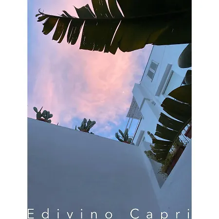 Suites Edivino Design Capri-3